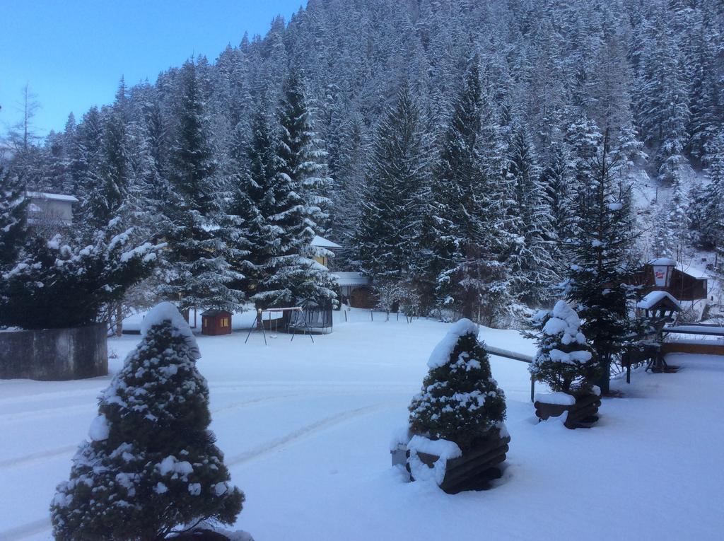 Hotel Alpina Regina Biberwier Kültér fotó